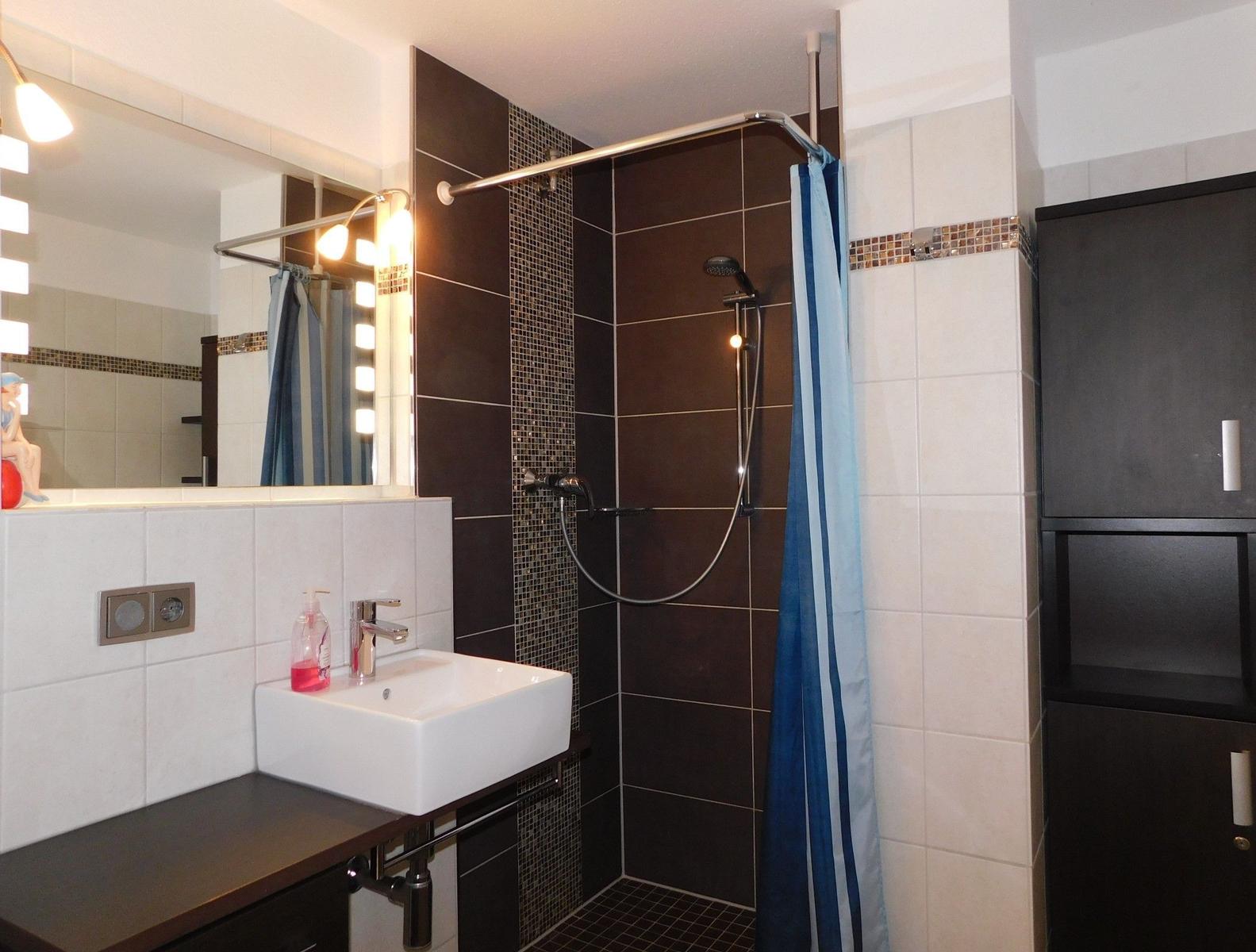 Badezimmer mit Dusche, Waschbecken und Spiegelschrank.