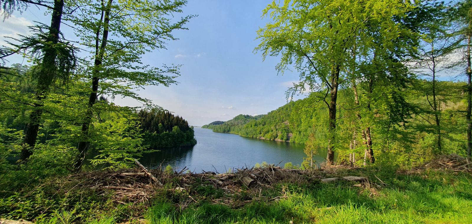 Ein Blick auf einen See, umgeben von grünen Bäumen und bewaldeten Hügeln.