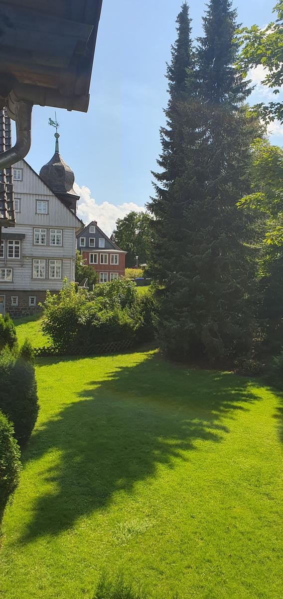 Grüner Garten mit Blick auf traditionelle Häuser und hohe Bäume.