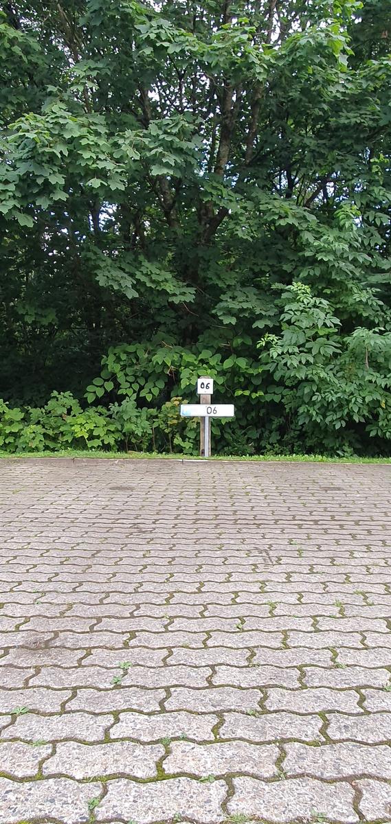 Pflasterweg führt zu einem Holzschild mit der Nummer 06 vor grüner Vegetation.
