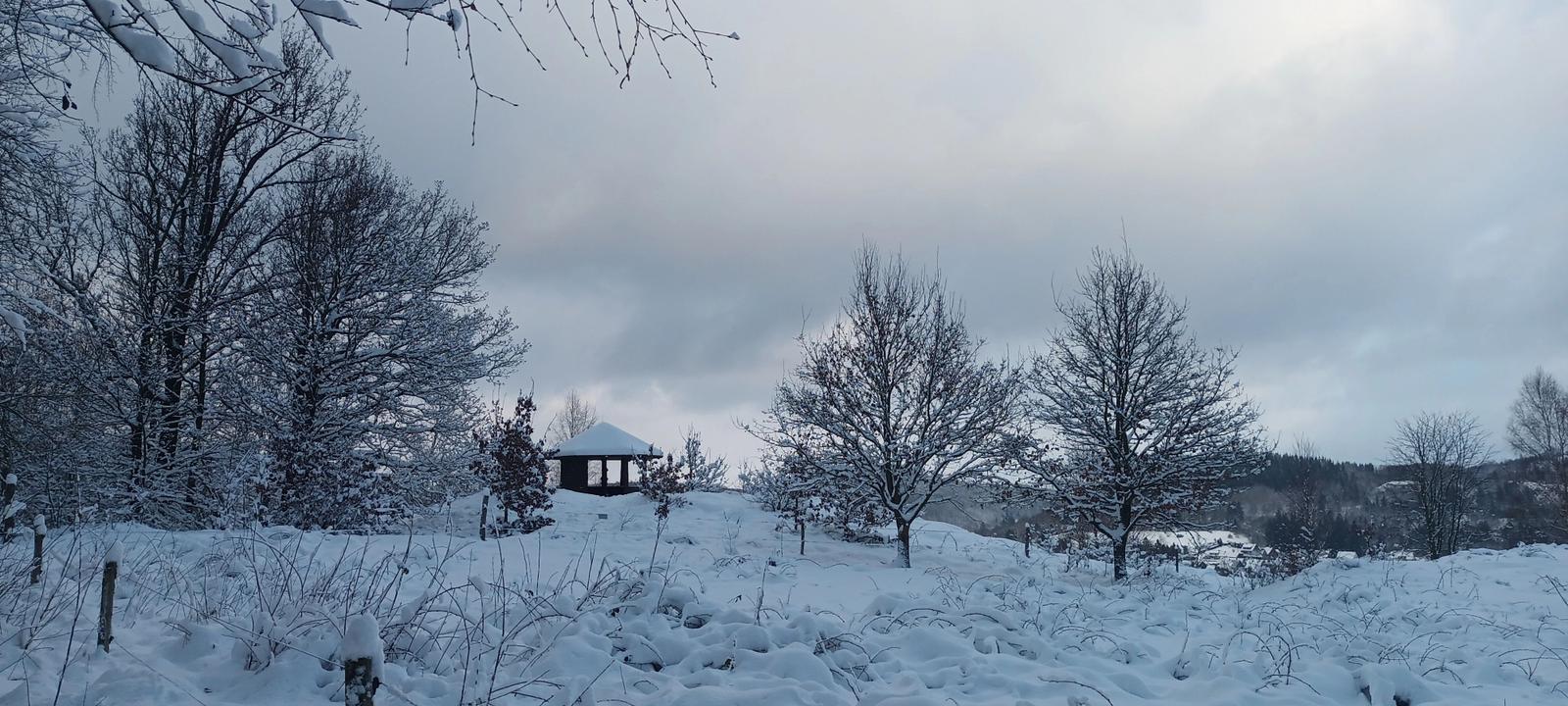 Schneebedeckter Garten mit Pavillon und kahlen Bäumen im Winter.