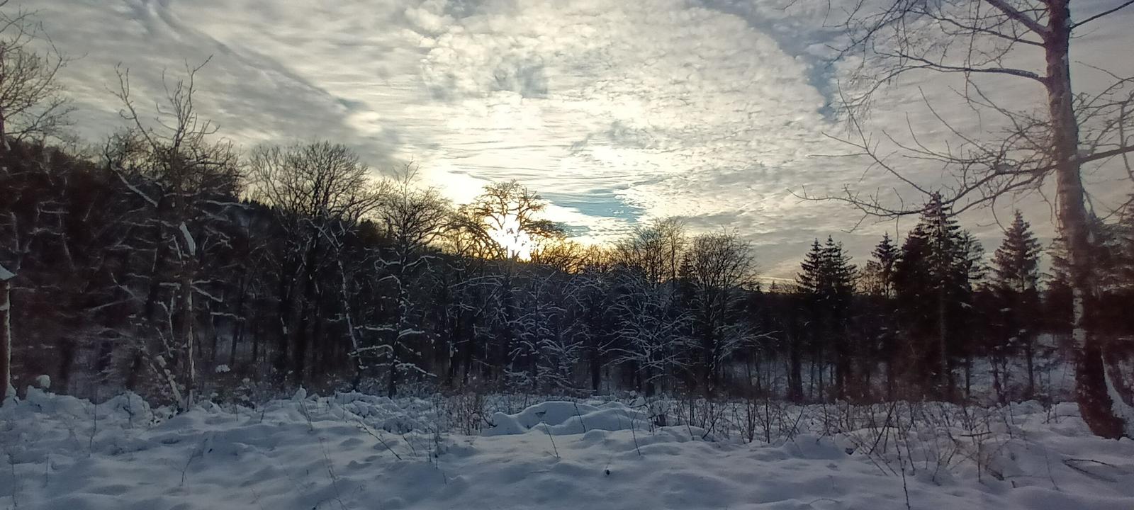 Schneebedeckter Wald bei Sonnenuntergang mit kahlen Bäumen und Tannen.