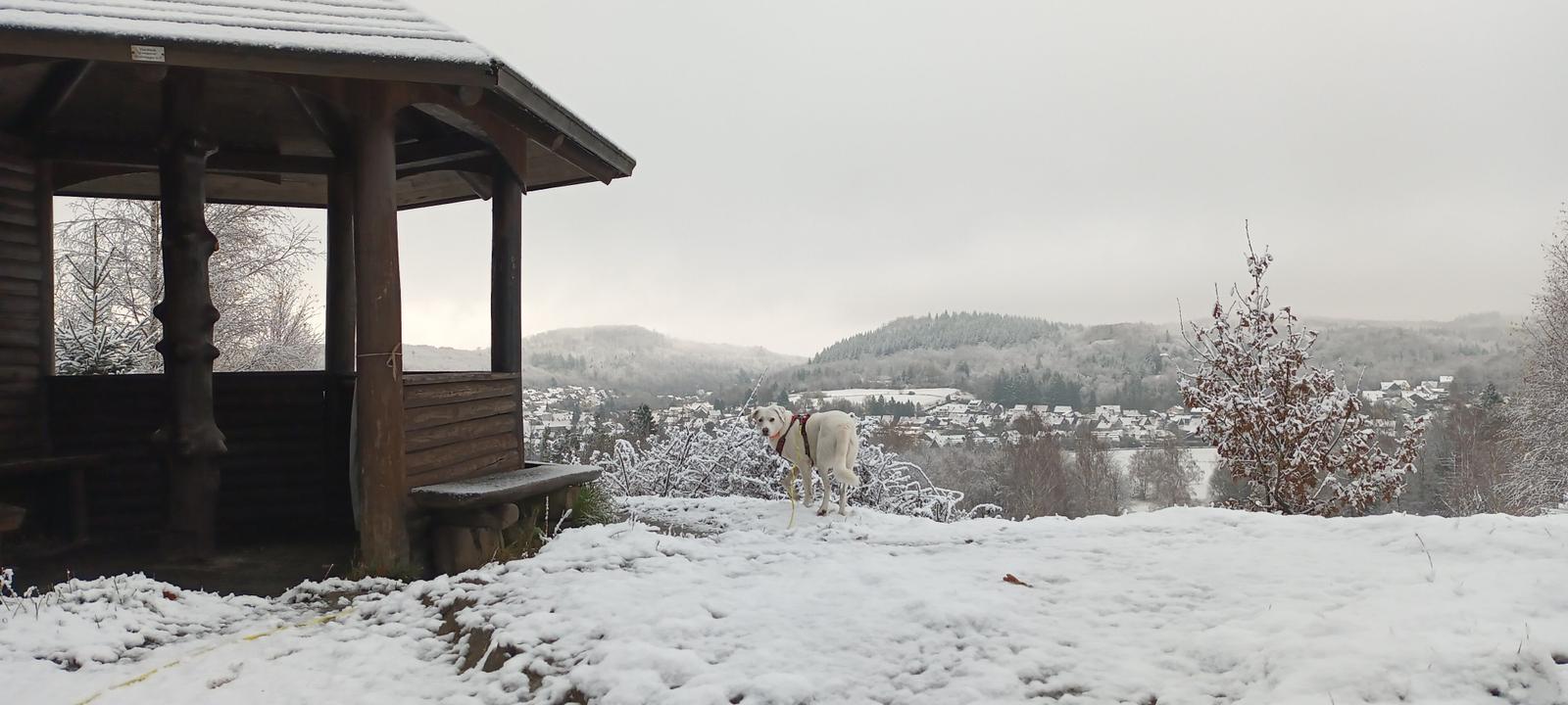 Blick vom Schäderpavillon Richtung Wolfshagen