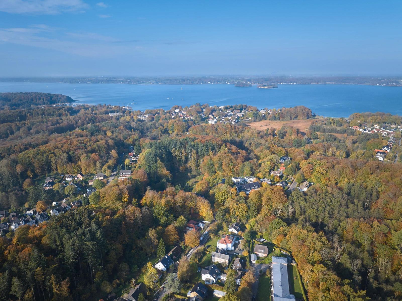 Panoramablick auf See und Wald mit Häusern im Herbst.