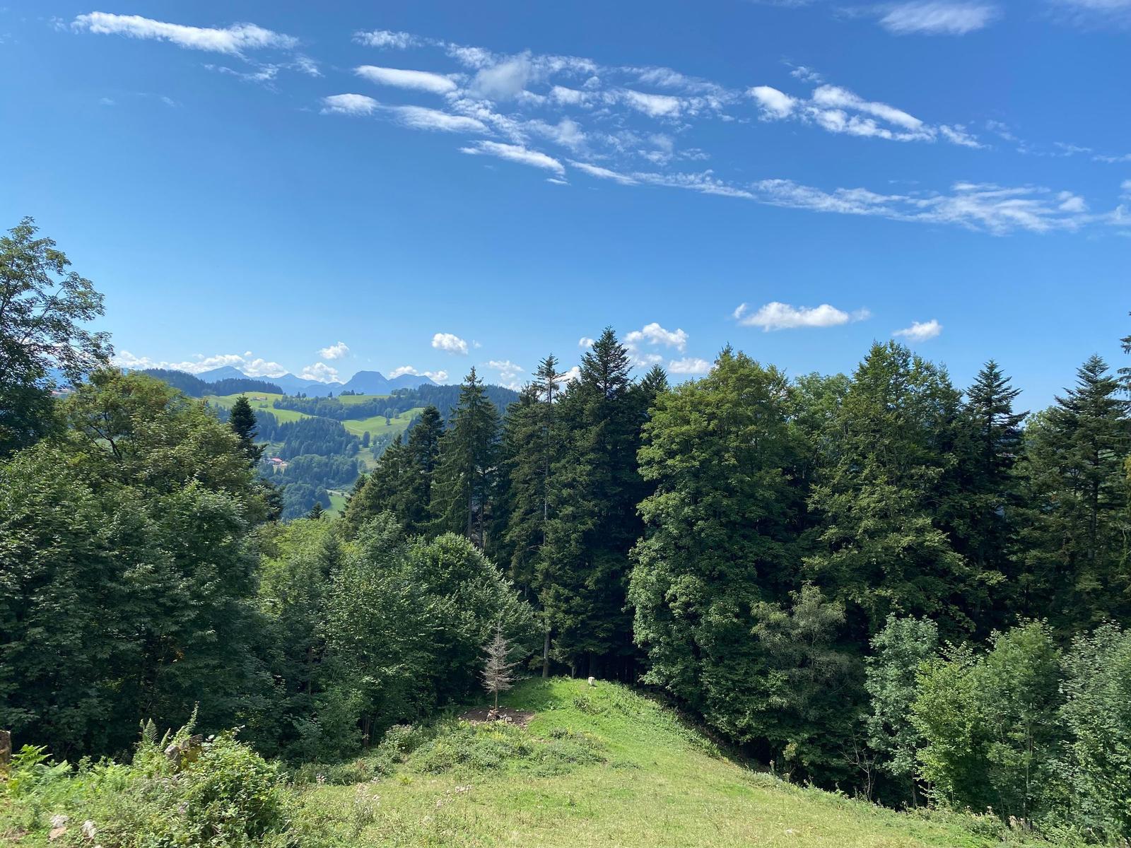 View of green hills and forests under blue sky with white clouds.