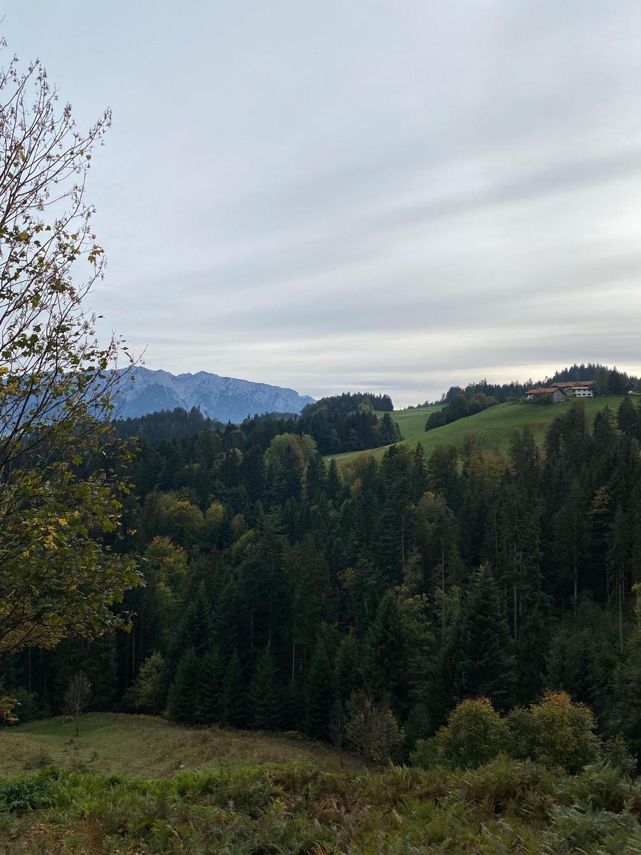House on green meadow with forest and mountains in background.