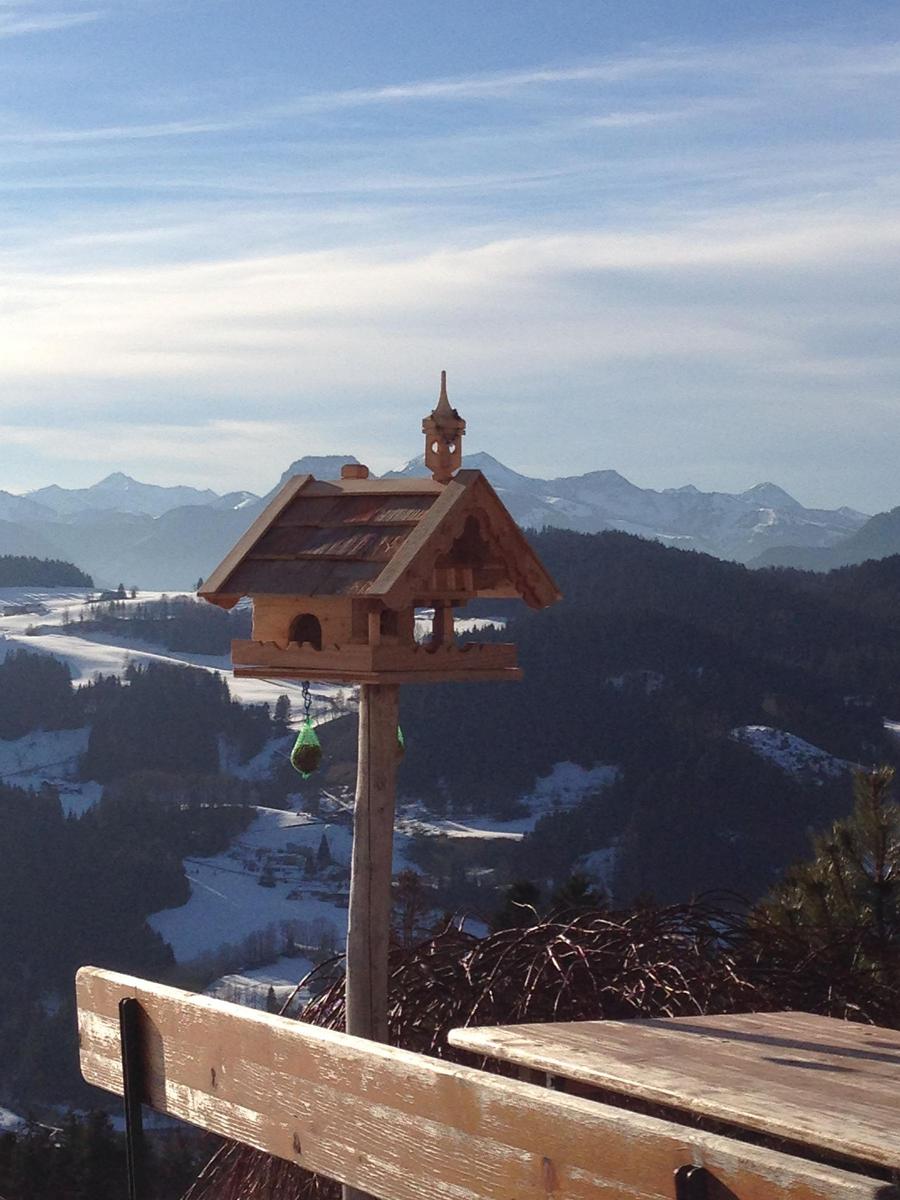 Wooden birdhouse on terrace with mountain view