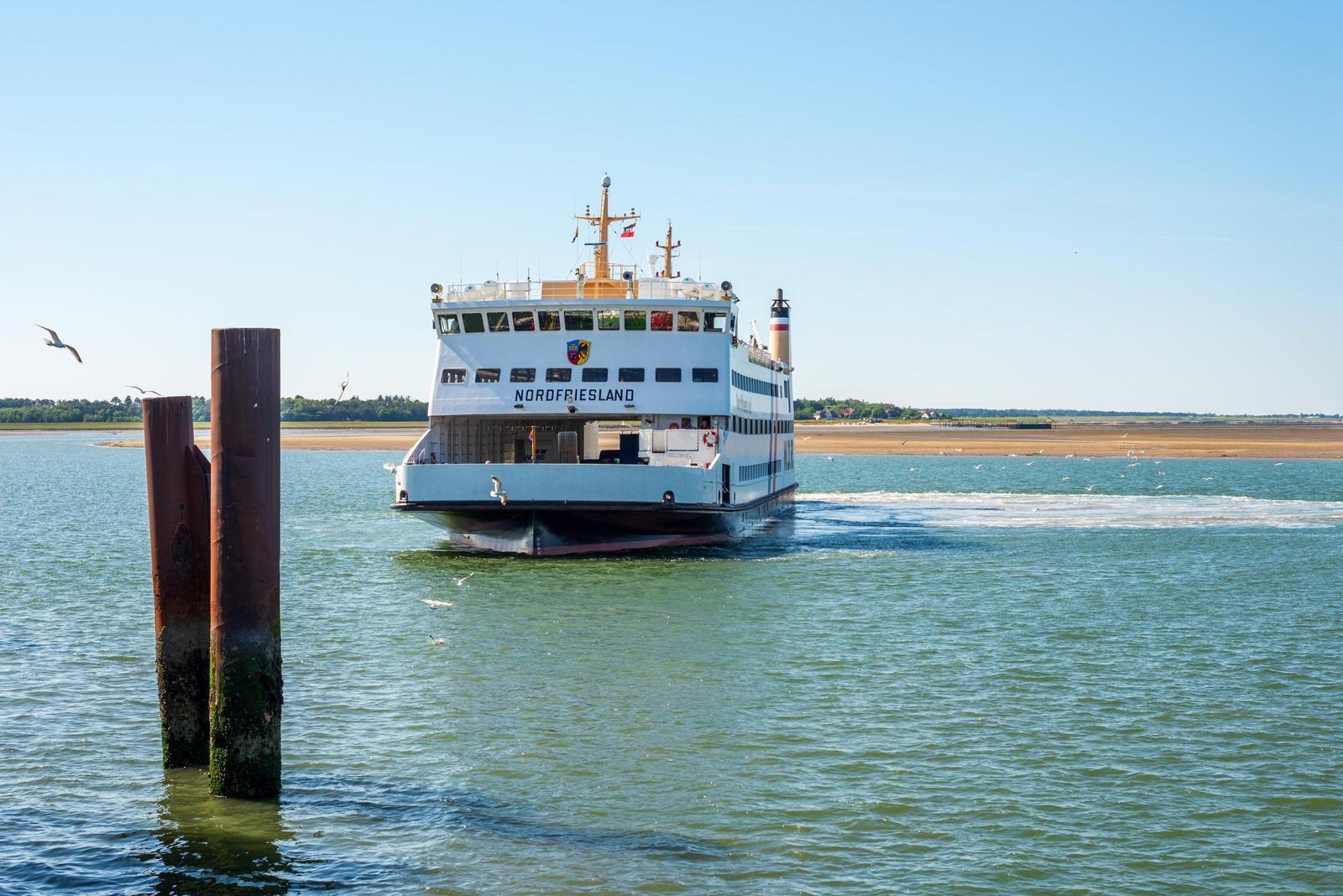 Fähre Nordfriesland fährt durch das Wasser mit Seeadlern im Hintergrund.