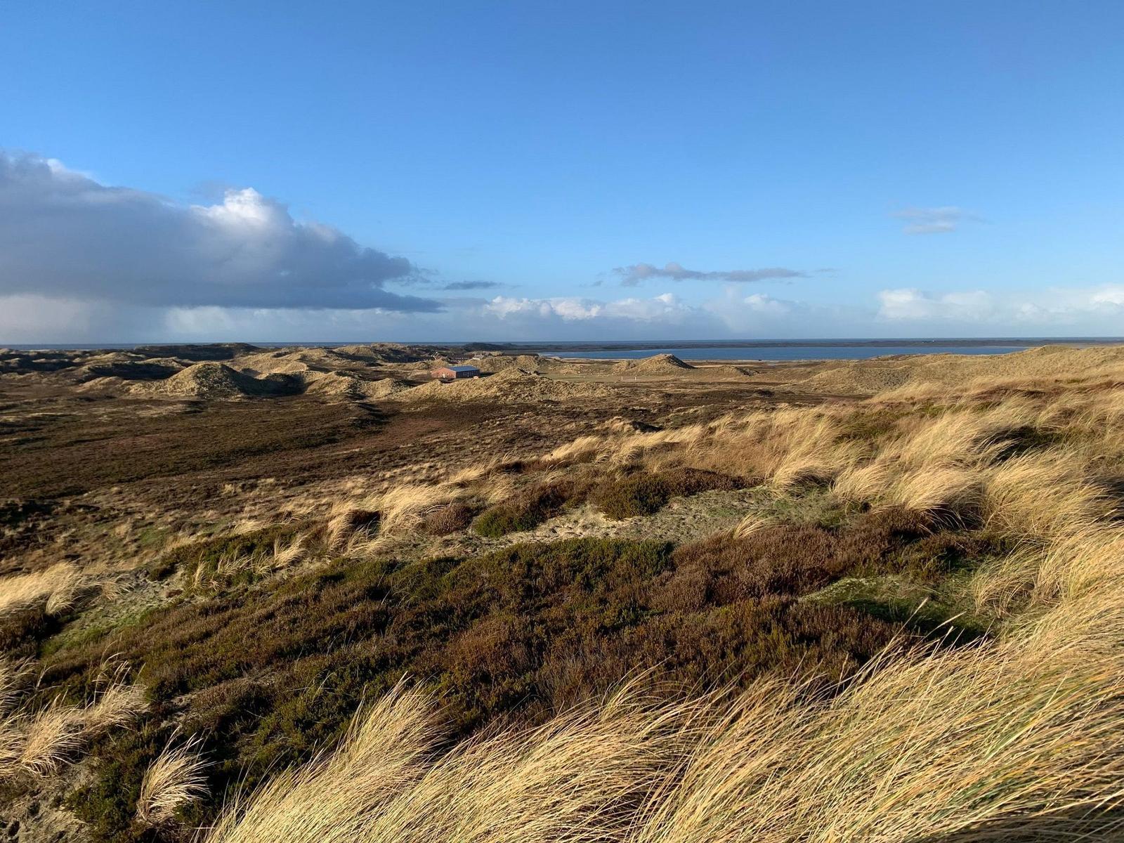 Weite Landschaft mit Dünen, Gräsern und Blick auf Wasser unter blauem Himmel.