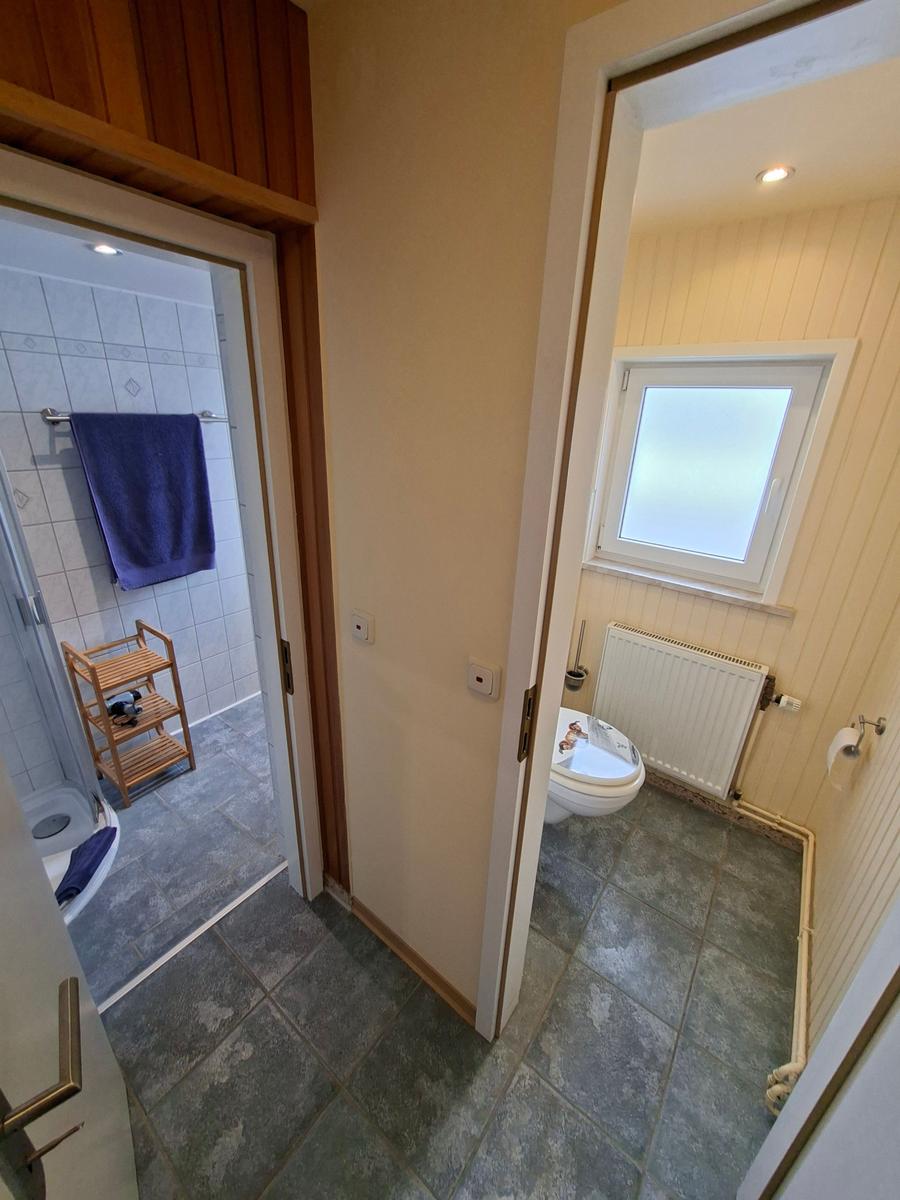 Badezimmer mit Dusche und Toilette. Holzregal und blauer Handtuchhalter sichtbar.