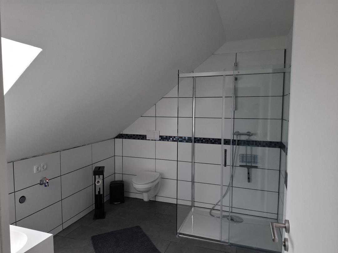 Badezimmer mit Dusche, Toilette und Dachfenster.