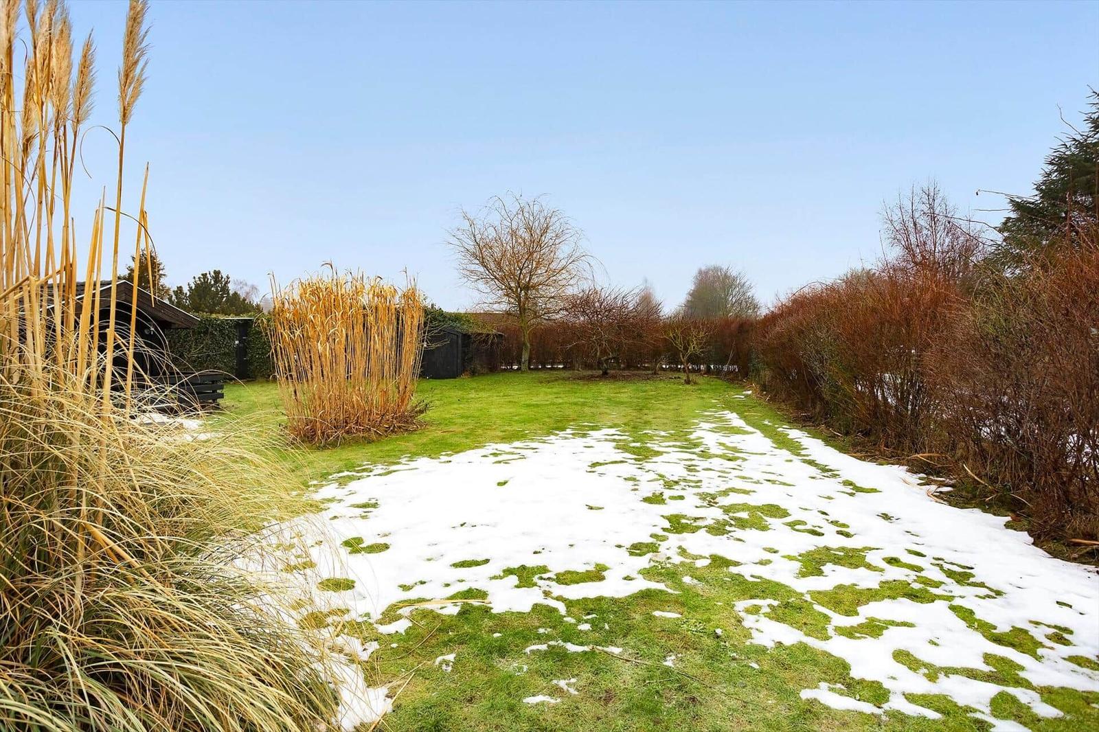 Garden with patches of snow, tall grasses, and trees in the background.