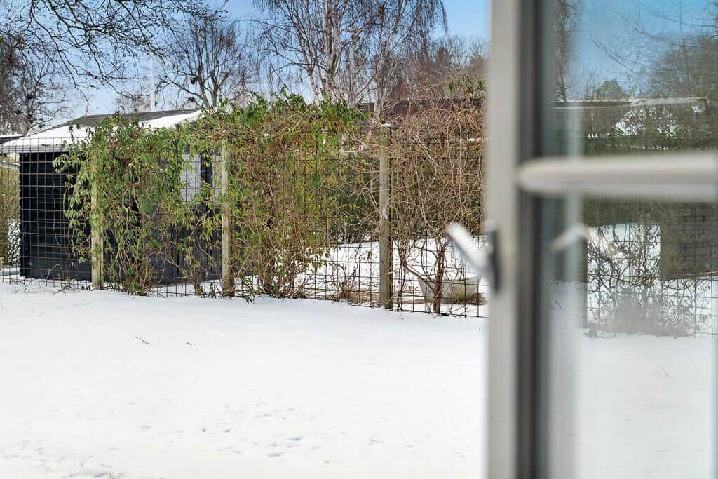 Snow-covered garden with fence and bushes in the background