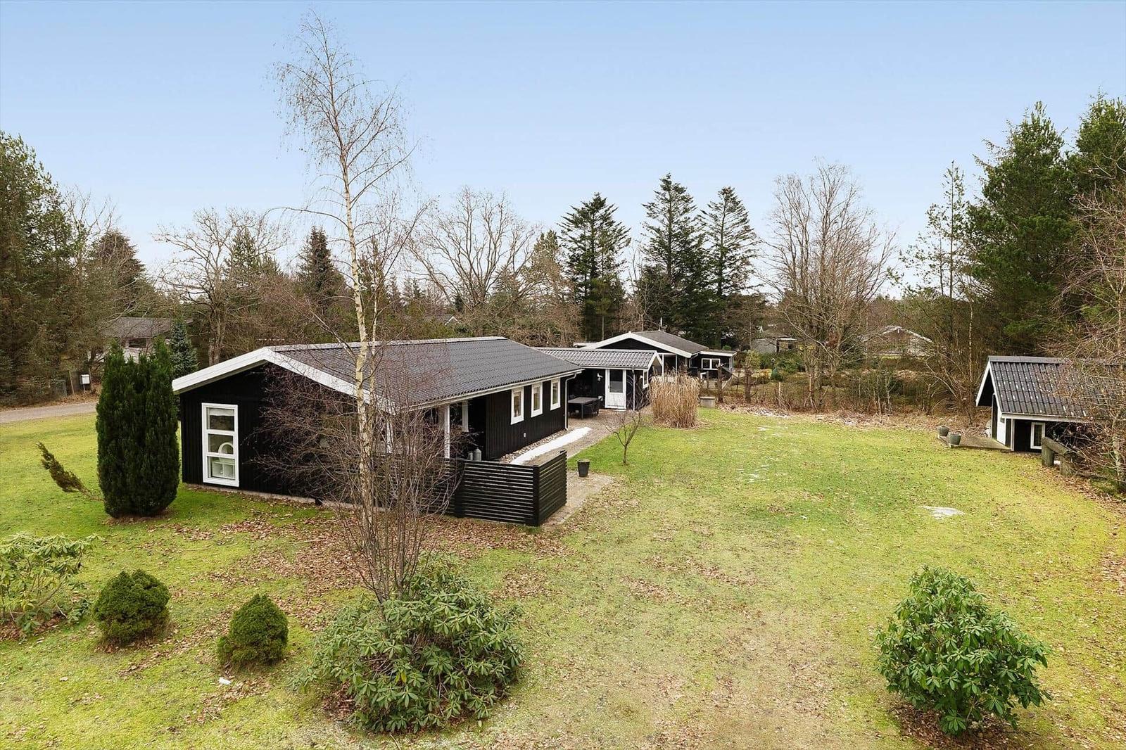 Black vacation houses with garden and forest in the background.