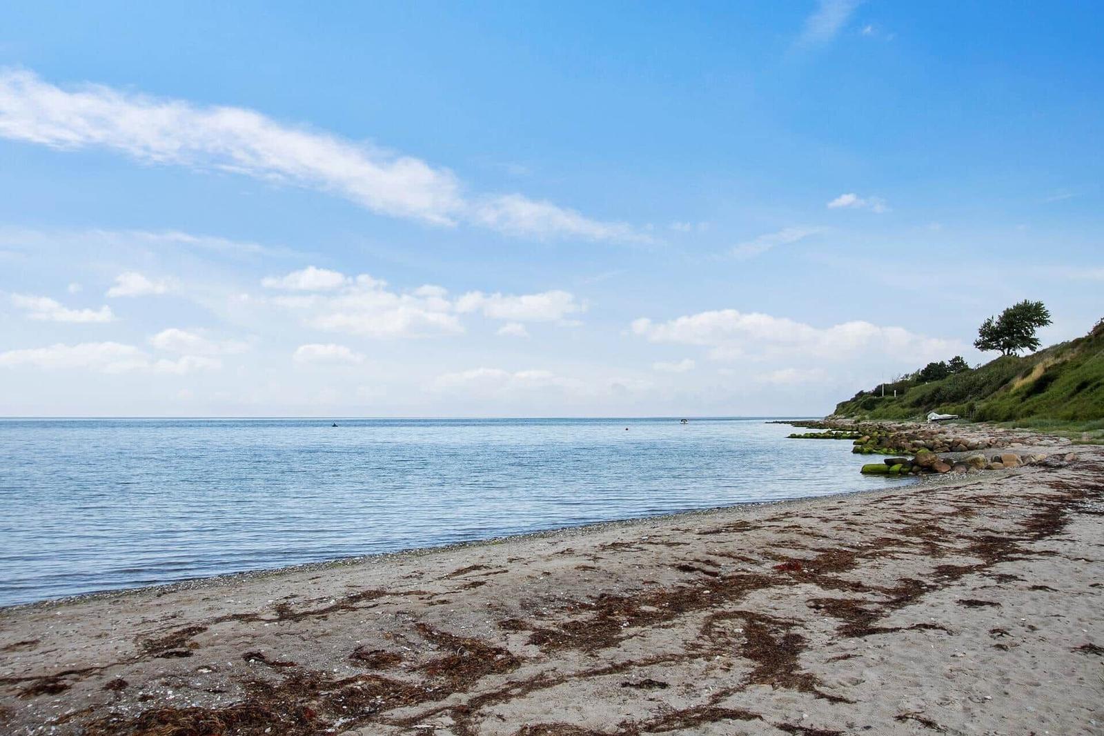 Strand mit Steinen und Grünflächen am Horizont unter blauem Himmel.