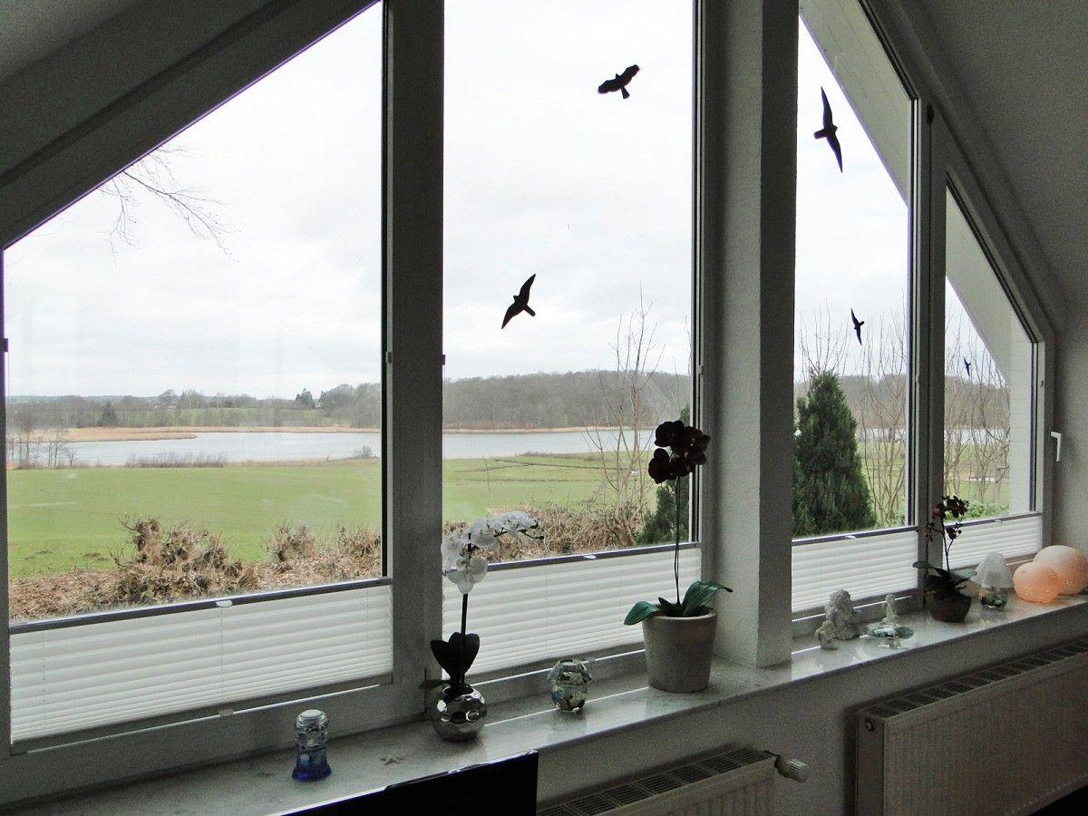 Blick auf die Schlei