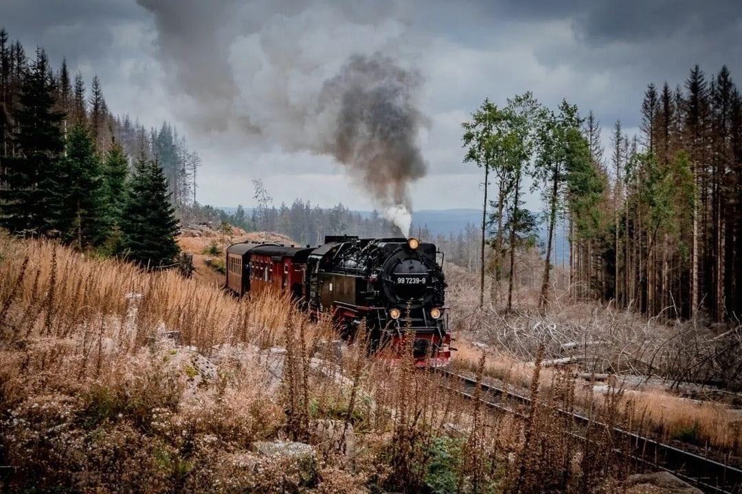 Mit der Dampflok zum Brocken