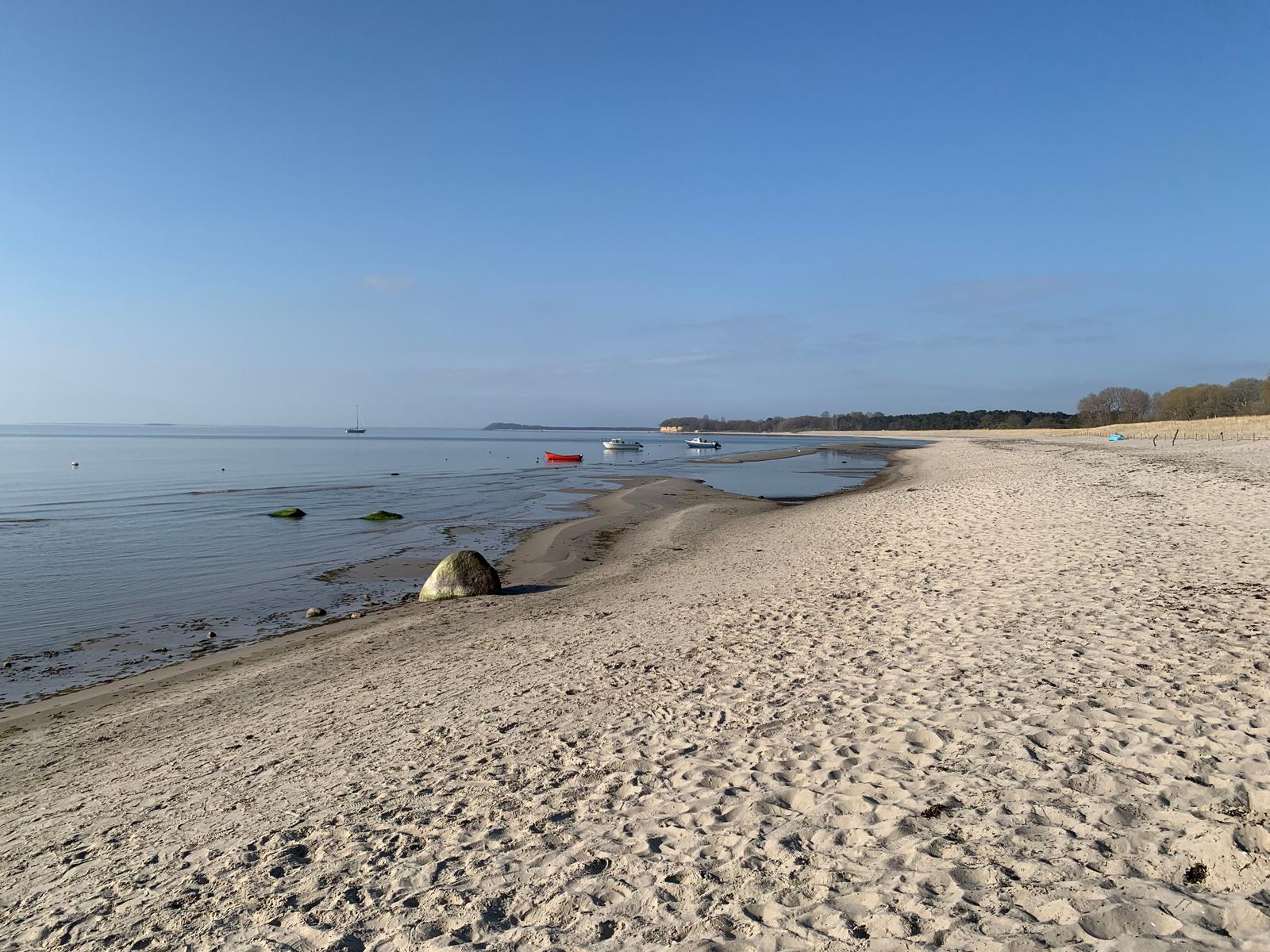 Südstrand von Göhren - hundefreundlich.