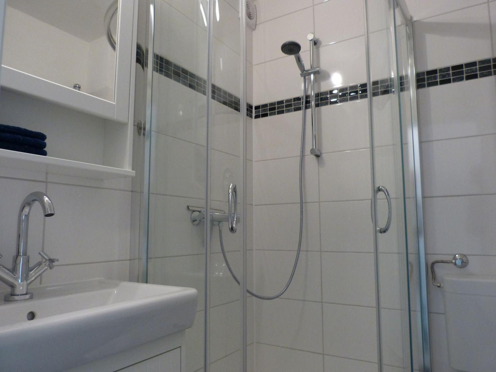 Duschkabine mit Glaswand, weißer Fliesenwand und Handdusche.