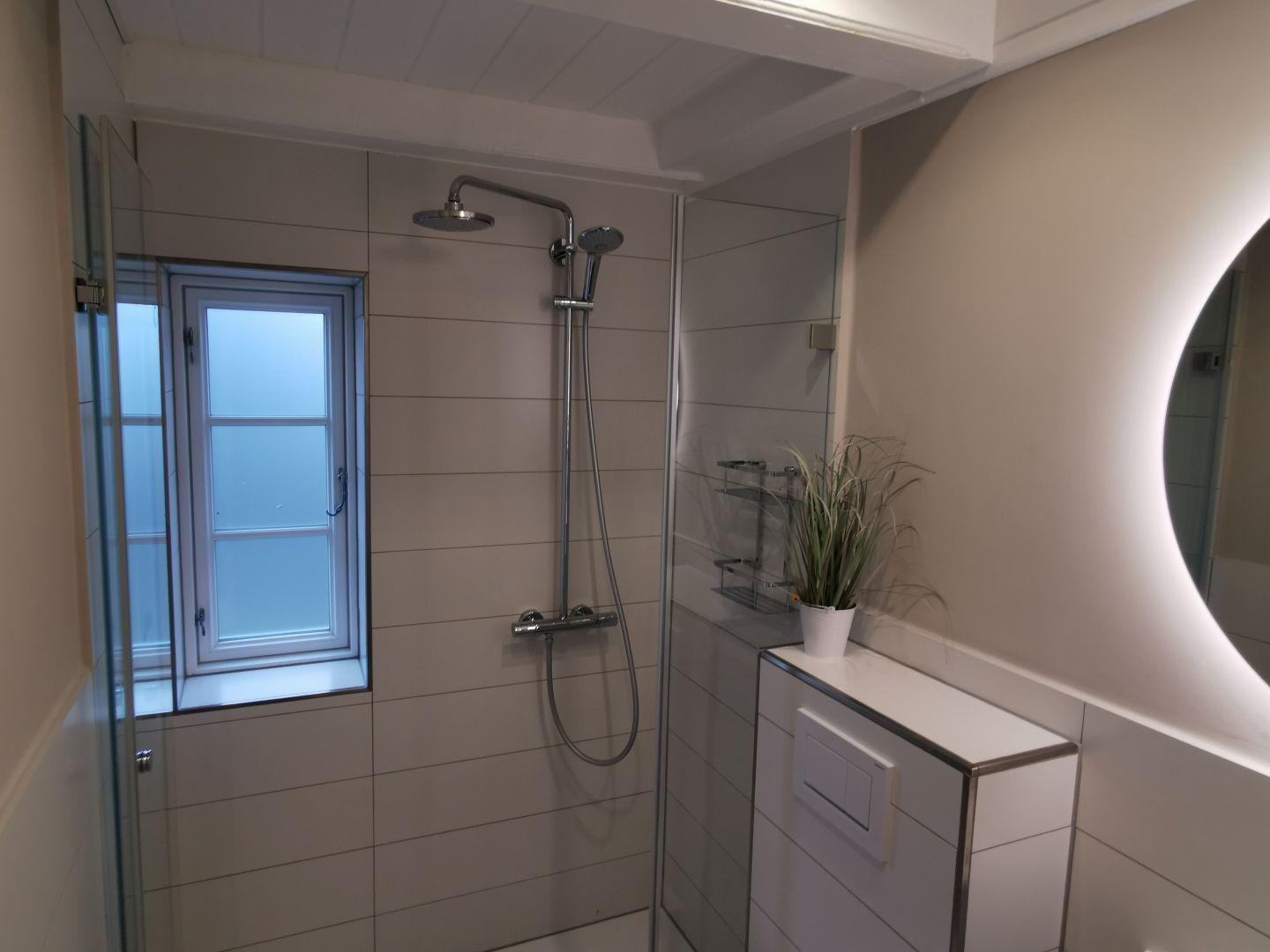 Dusche mit Duschbrause, Fenster und Pflanze auf Waschbecken.