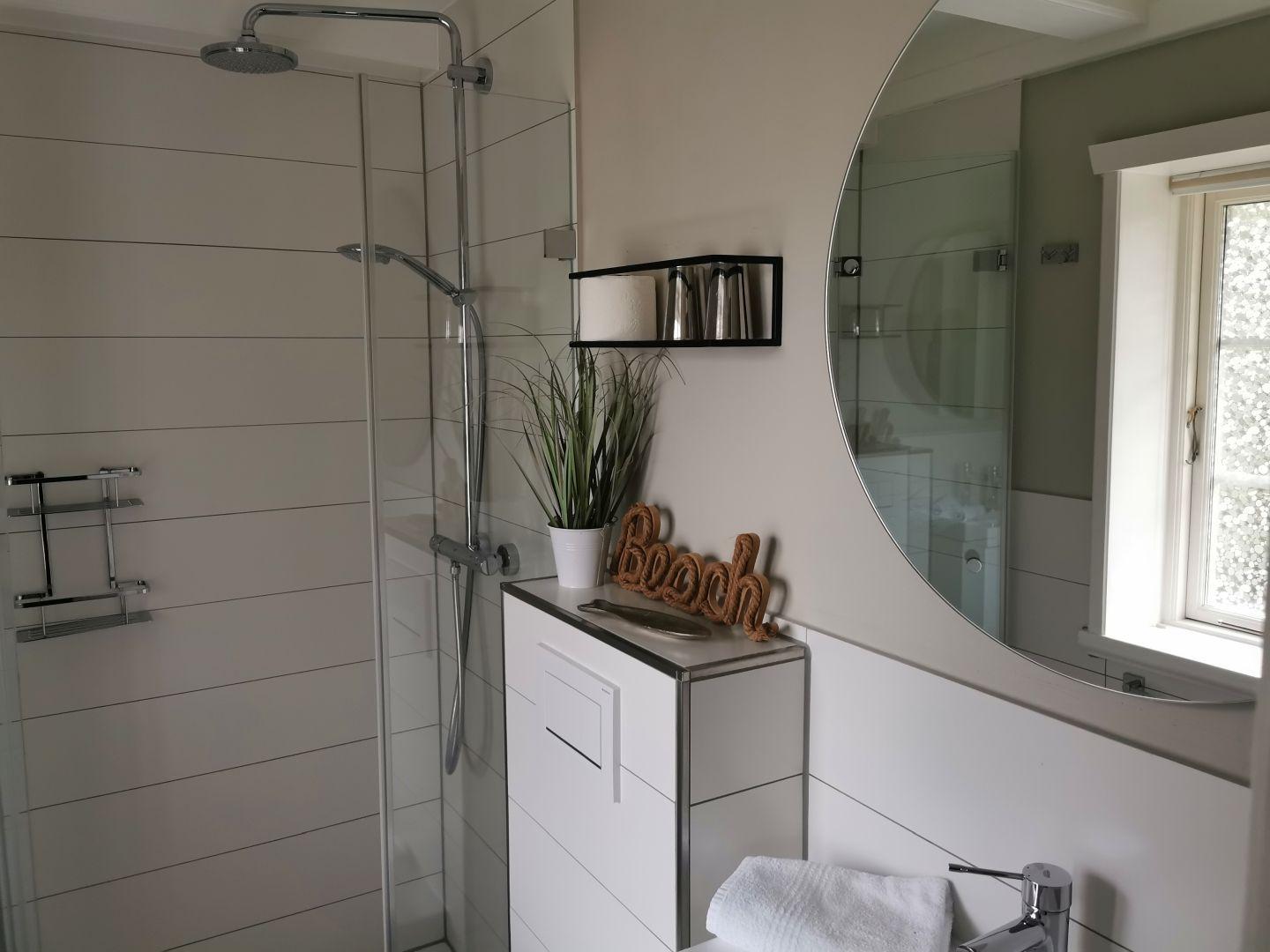 Badezimmer mit Dusche, Waschbecken und Spiegel. Dekorationsgegenstände und Pflanze sichtbar.