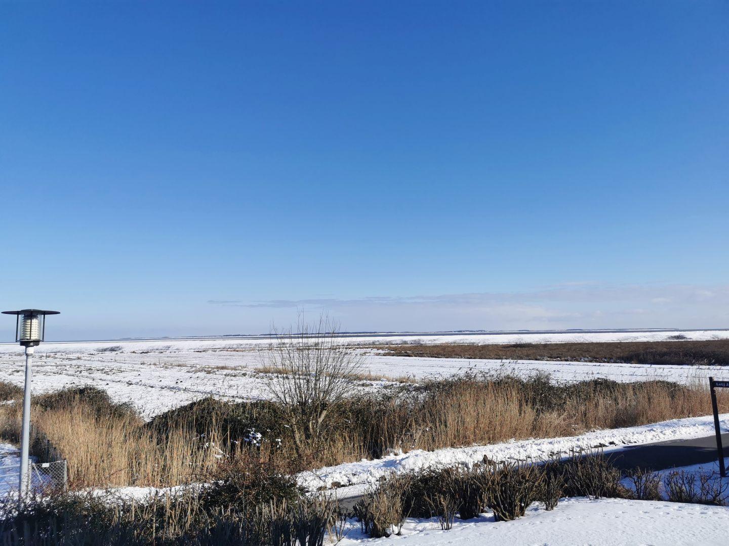 Schneebedecktes Feld unter blauem Himmel mit Straße und Laterne im Vordergrund.