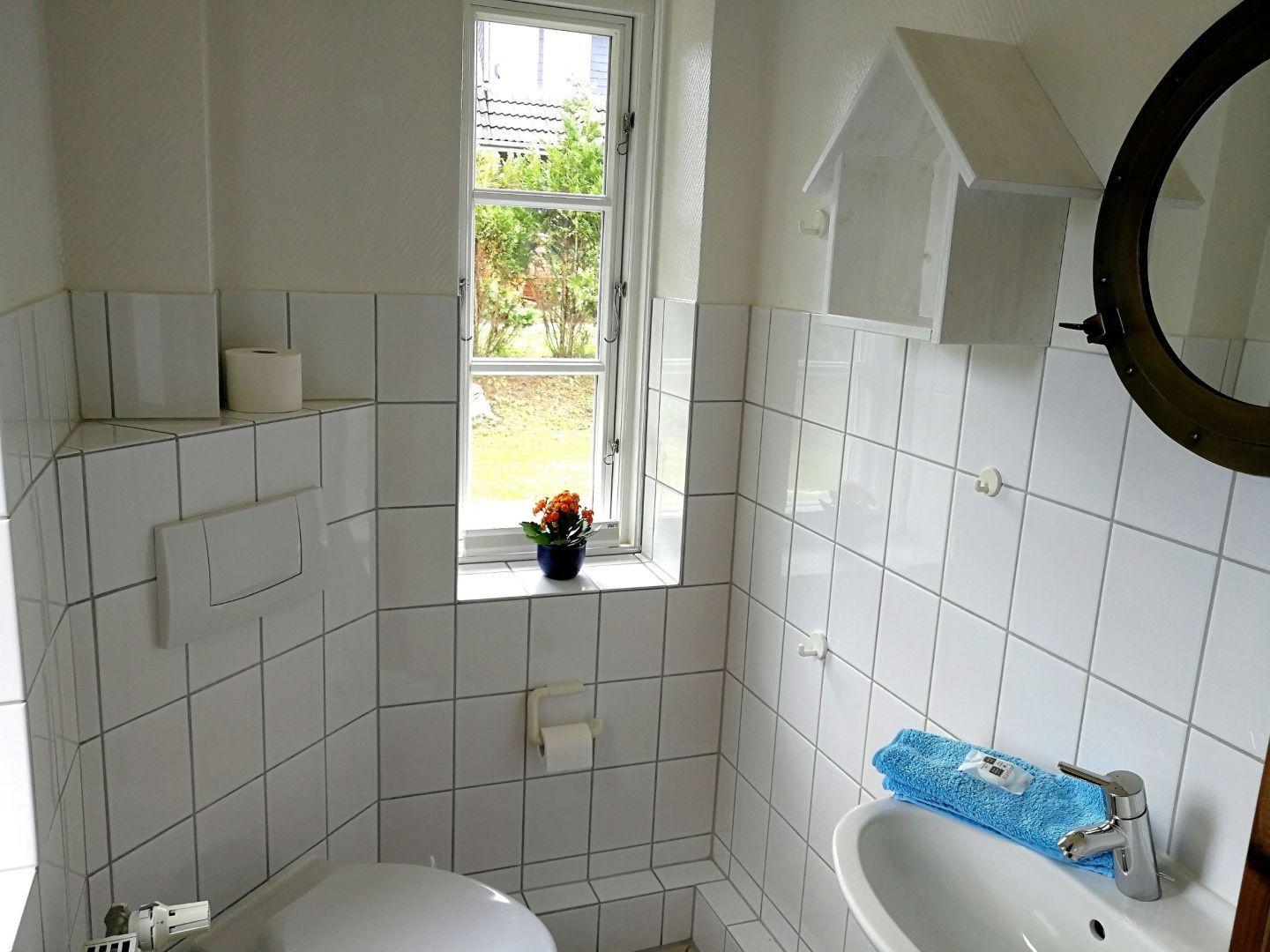Badezimmer mit Fenster, Waschbecken und Toilette. Auf dem Fensterbrett steht eine Pflanze.