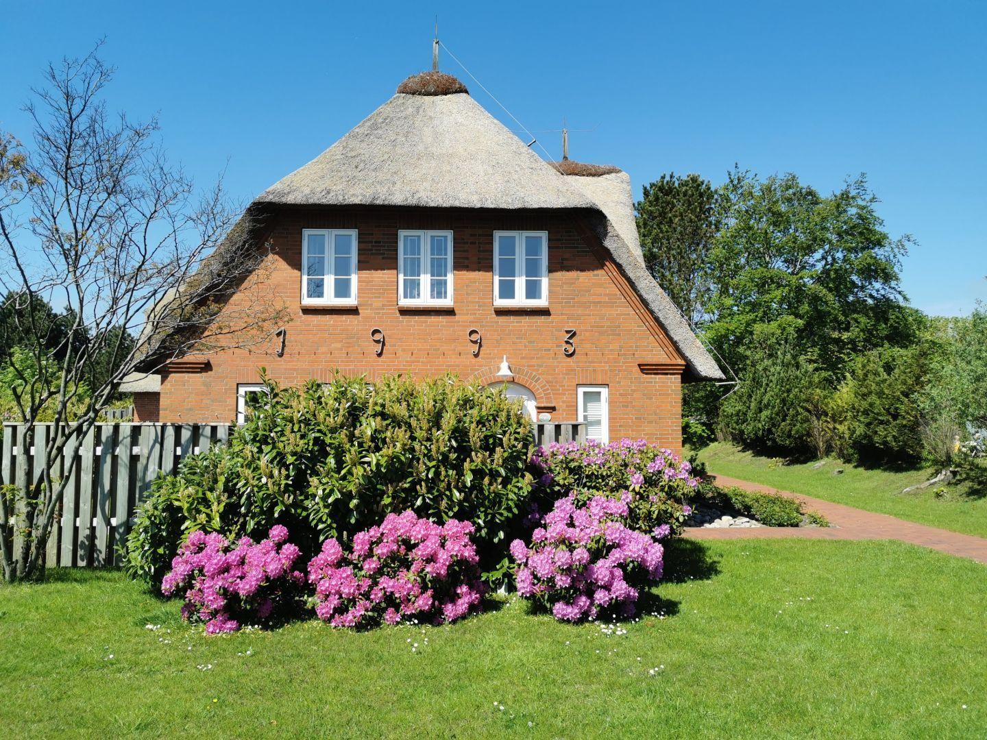 Rotes Backsteinhaus mit Strohdach und blühenden Rhododendronsträuchern im Vorgarten.