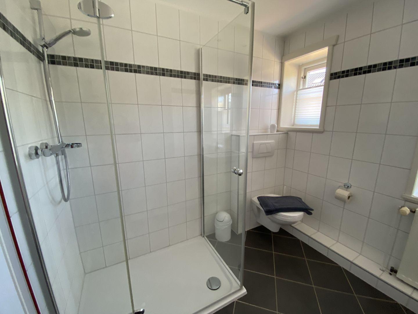 Badezimmer mit Dusche, Toilette und Fenster.