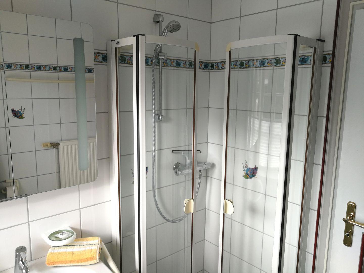 Badezimmer mit Duschkabine, Spiegel und Waschbecken.