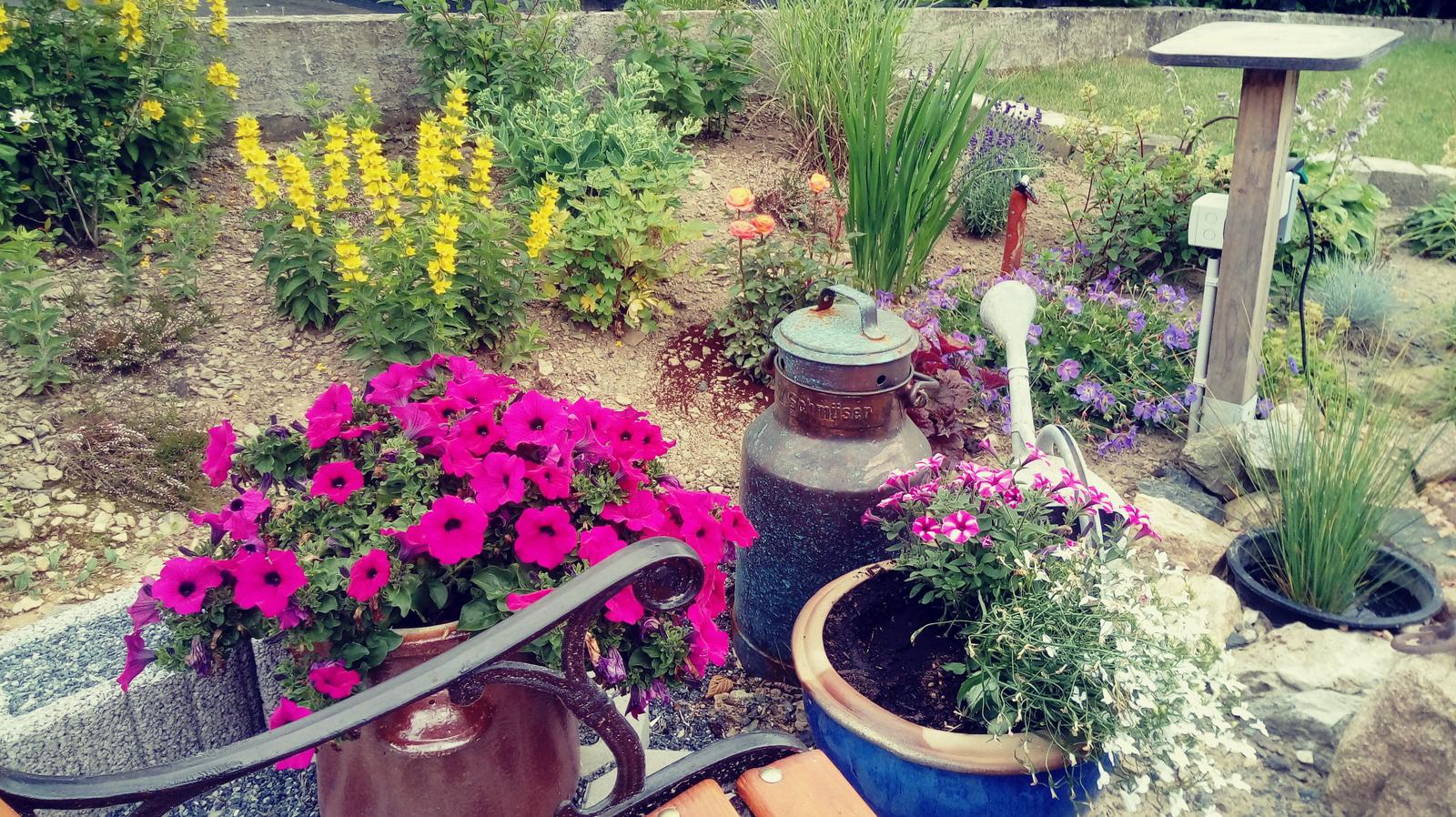 Garten mit Blumen, Pflanzkübeln und altem Milchkanister.