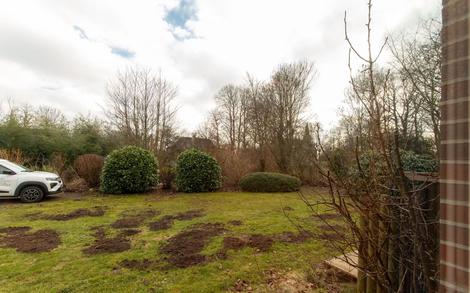 Blick in den Vorgarten...