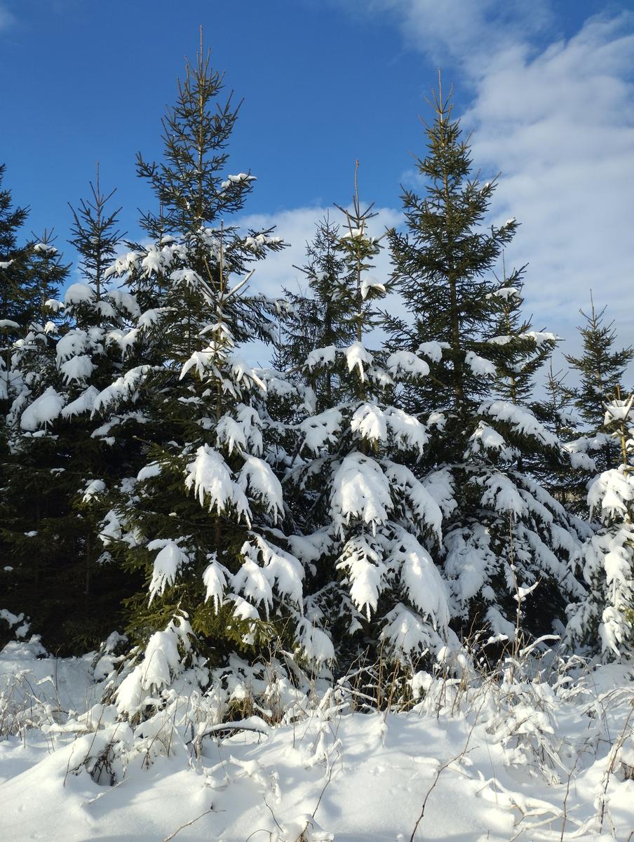 Blick im Winter aus der Küche