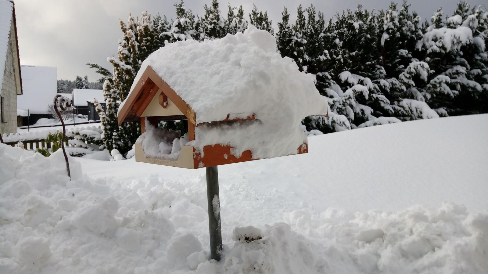 Schneebedeckter Vogelhäuschen im Wintergarten