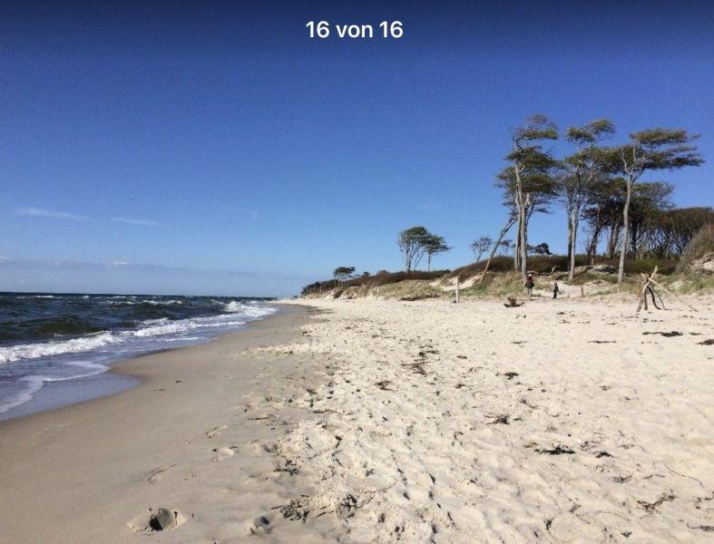 Bild-Beschreibung folgt.