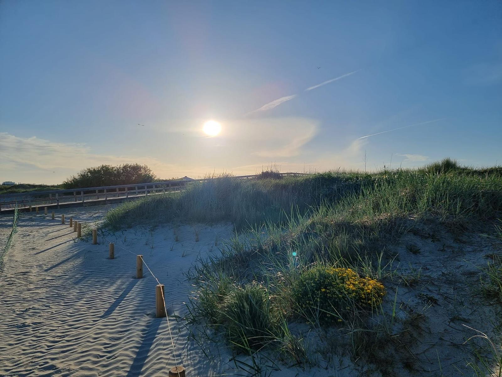 Sonniger Strandweg mit Dünen und Gräsern. Holzsteg führt entlang.