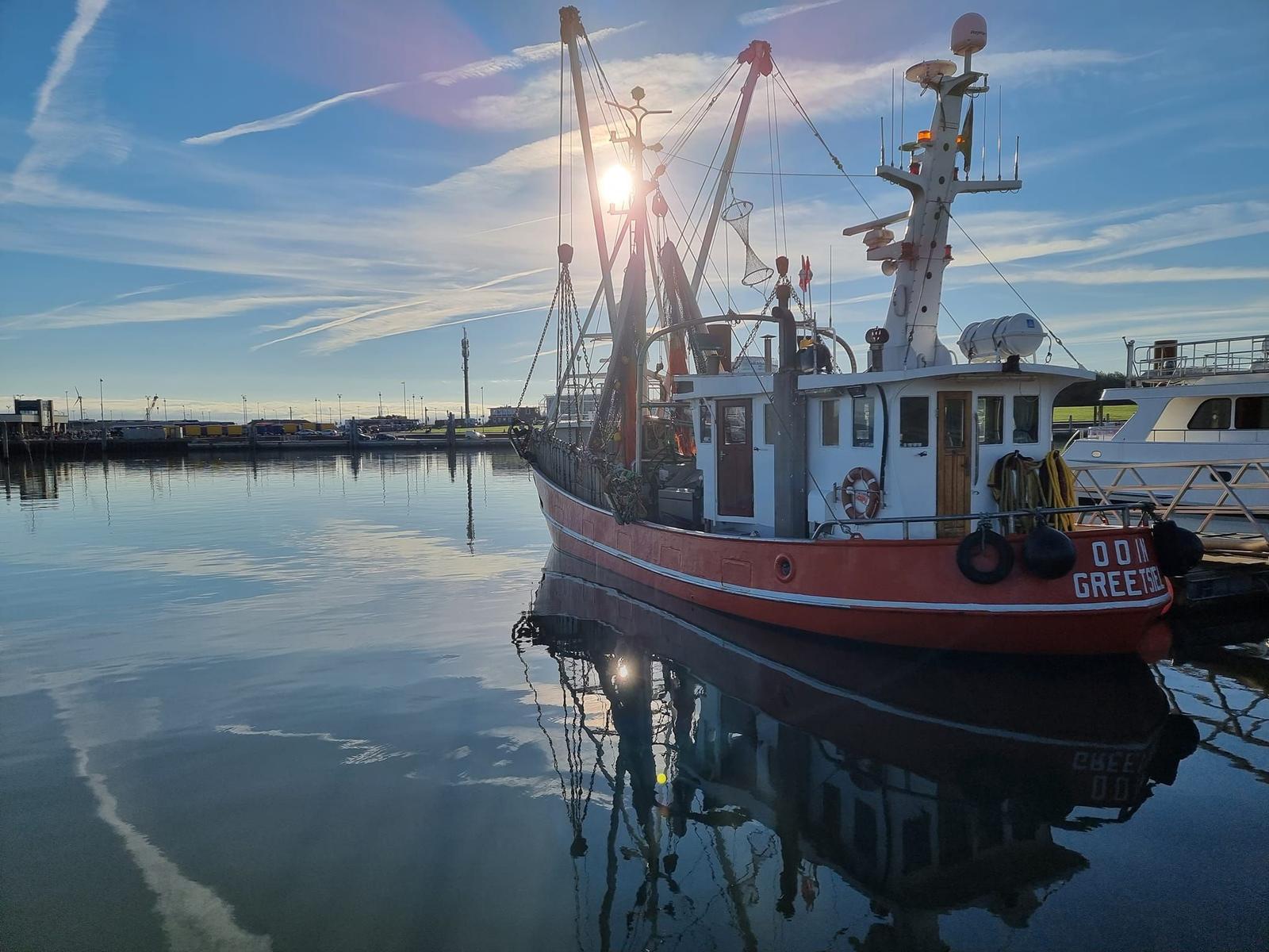 Fischerboot mit rotem Rumpf liegt im Hafen. Sonne scheint durch Masten.