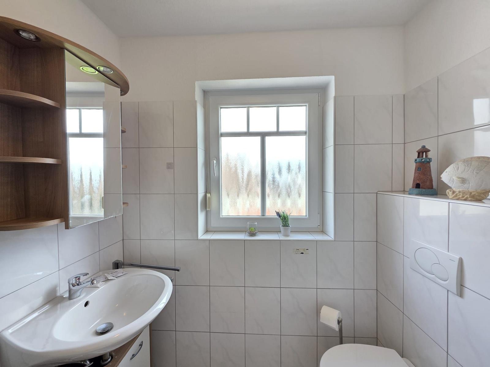 Bathroom with sink, toilet, and window with glass panels.