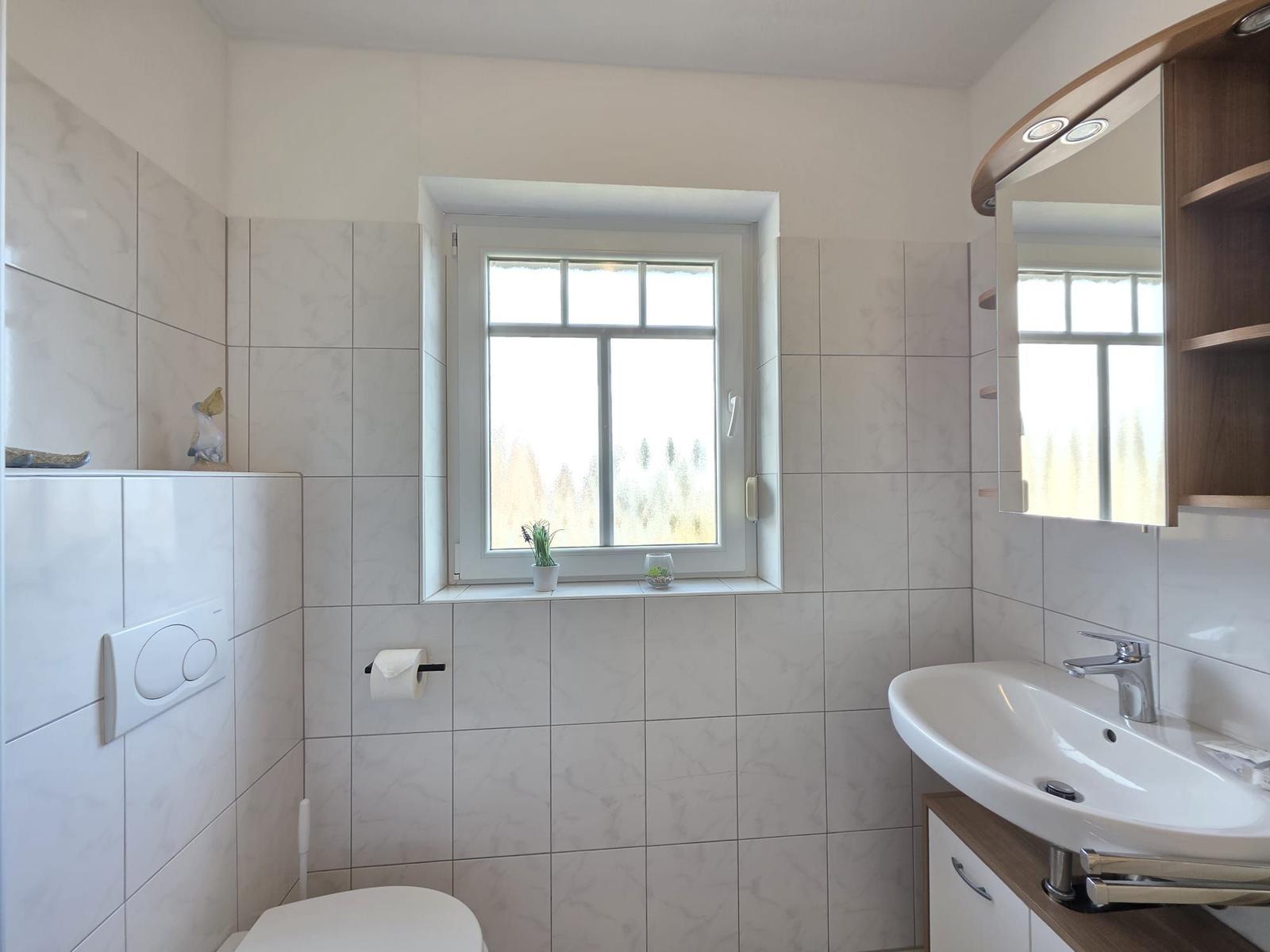 Bathroom with window, sink, and mirror cabinet