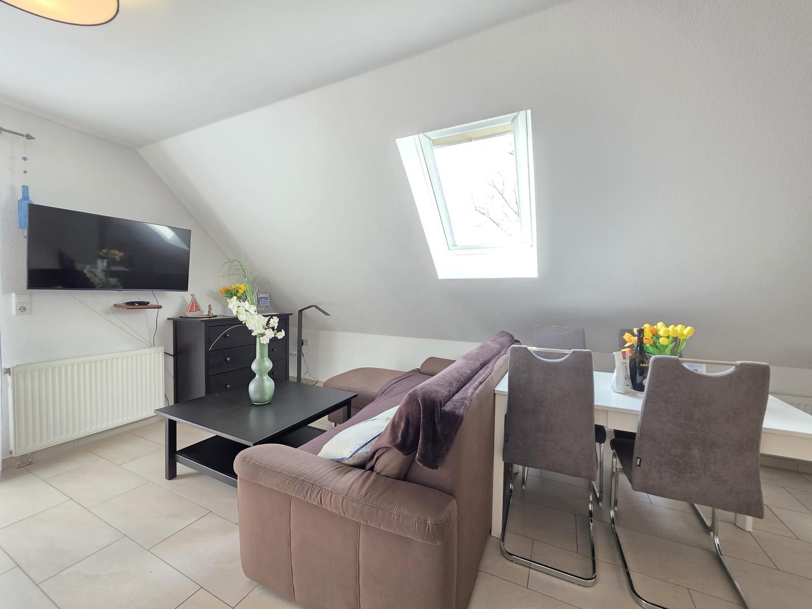 Living and dining area with sofa, TV, and skylight.