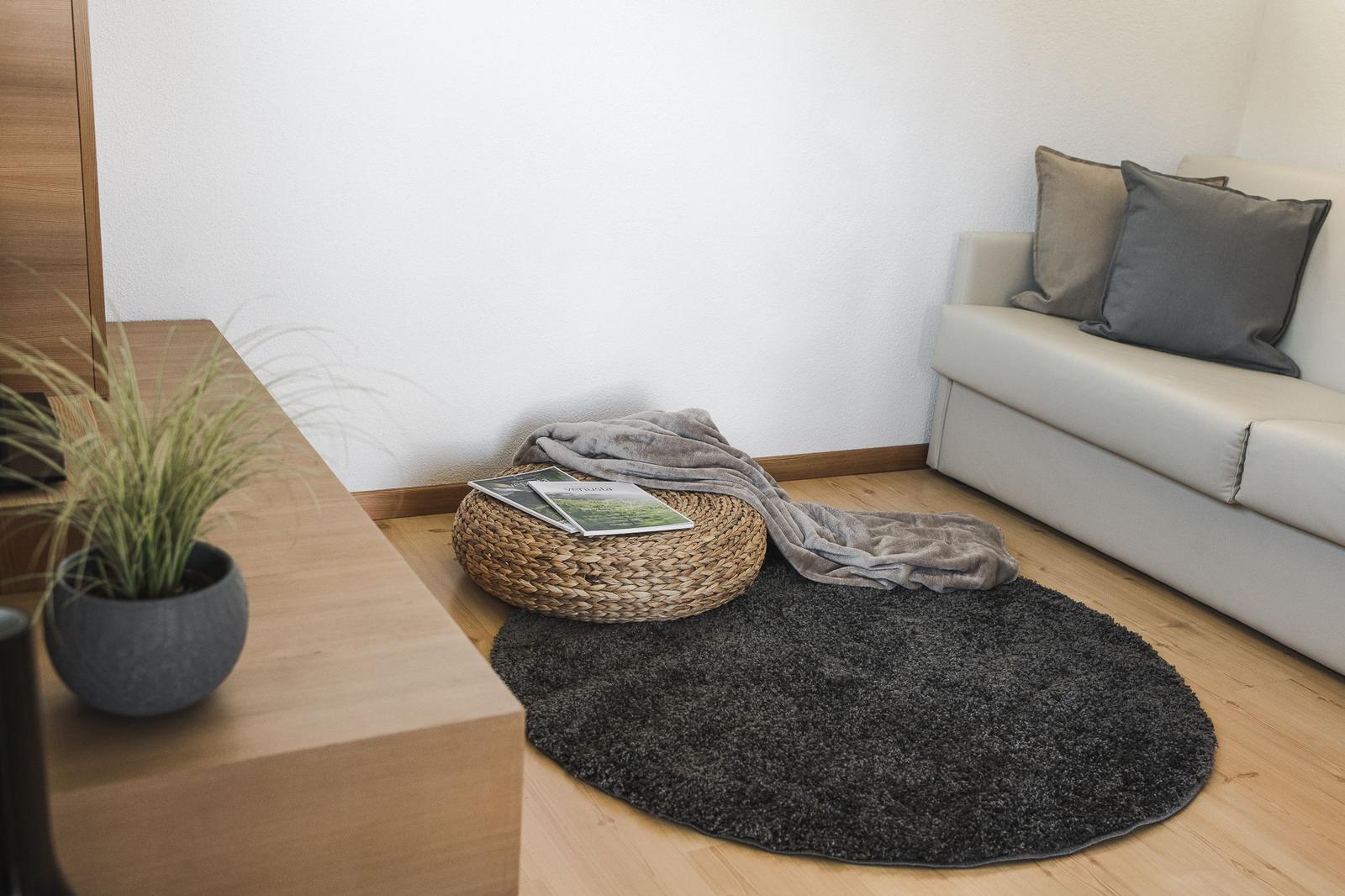 Wohnzimmer mit Sofa, runden Teppich und Pflanze auf Holzoberfläche.