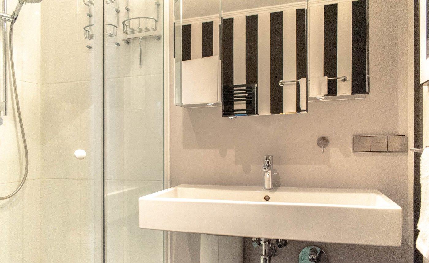 Badezimmer mit Dusche, Waschbecken und Spiegelschrank.