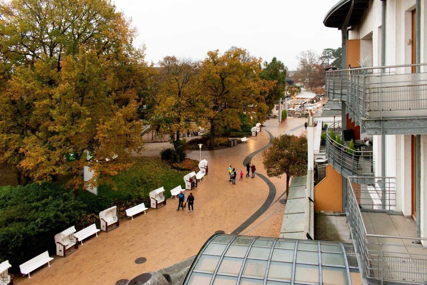 Panorama aus der Ferne: gepflasterter Weg, Bäume mit Herbstlaub und moderne Gebäude mit Balkonen.