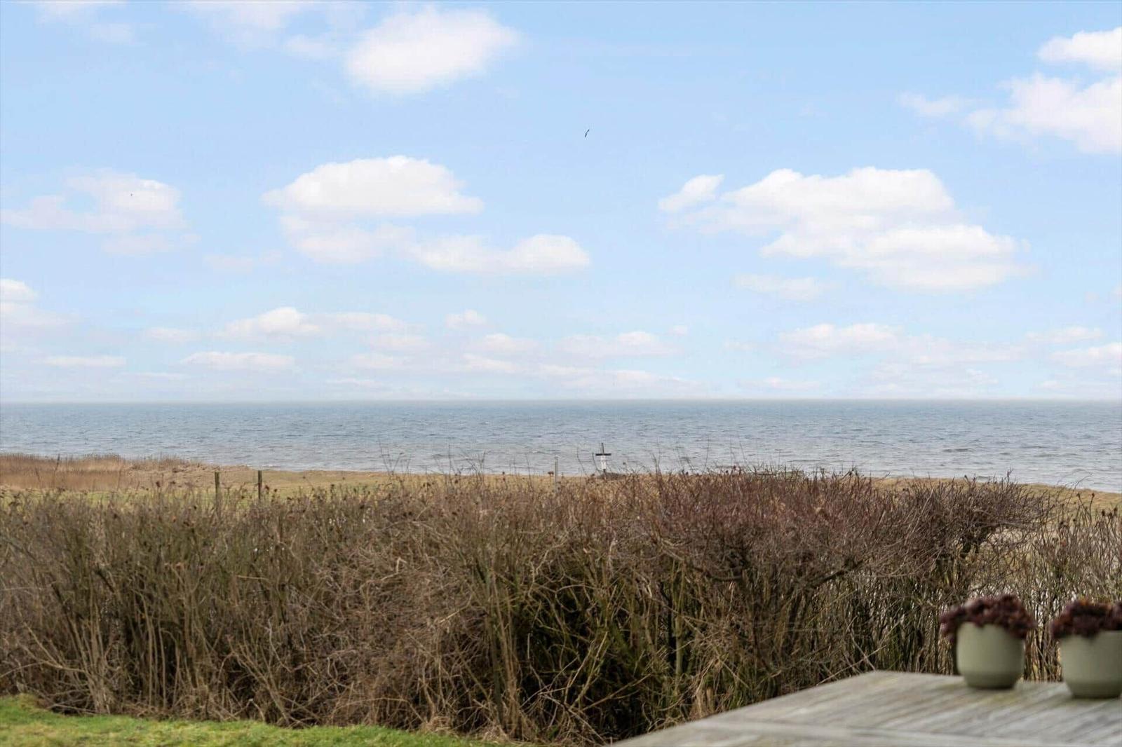Blick auf das Meer mit Strand und Sträuchern im Vordergrund.