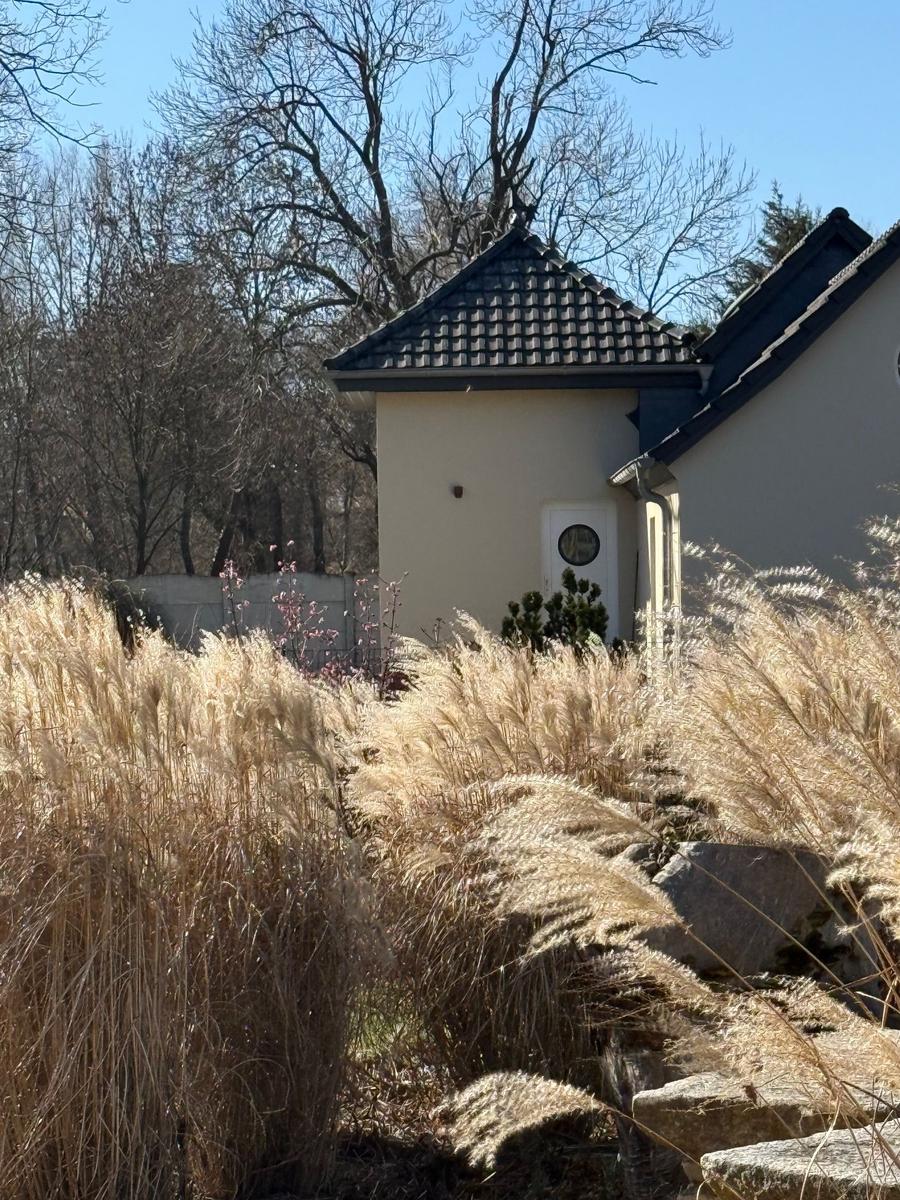 Haus mit schwarzem Dach und weißer Tür, umgeben von hohem Gras und Bäumen.