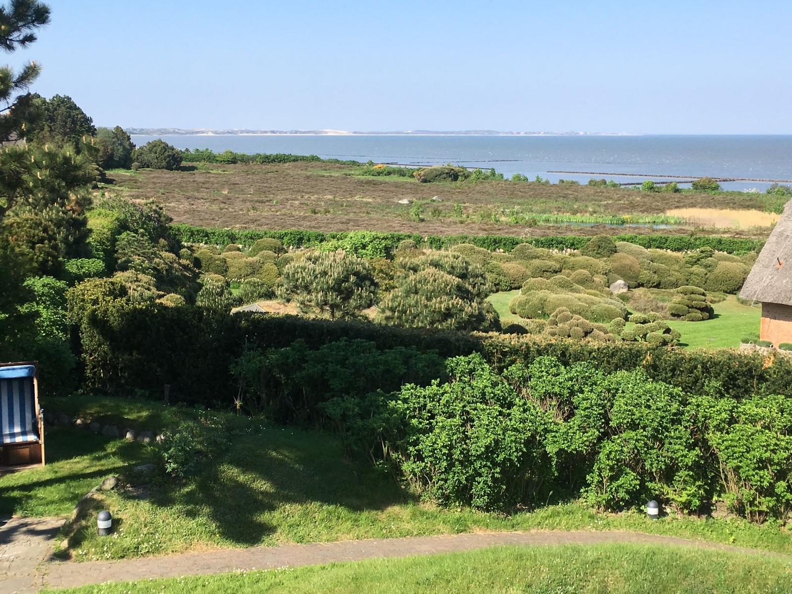 Grüner Garten mit gestutzten Hecken und Blick auf die Nordsee.