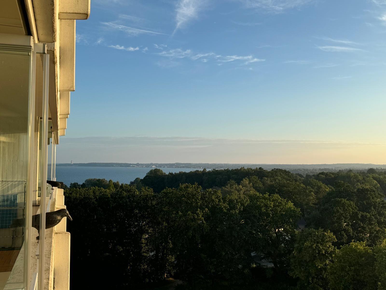Blick vom Balkon auf Wald und Wasser unter blauem Himmel.