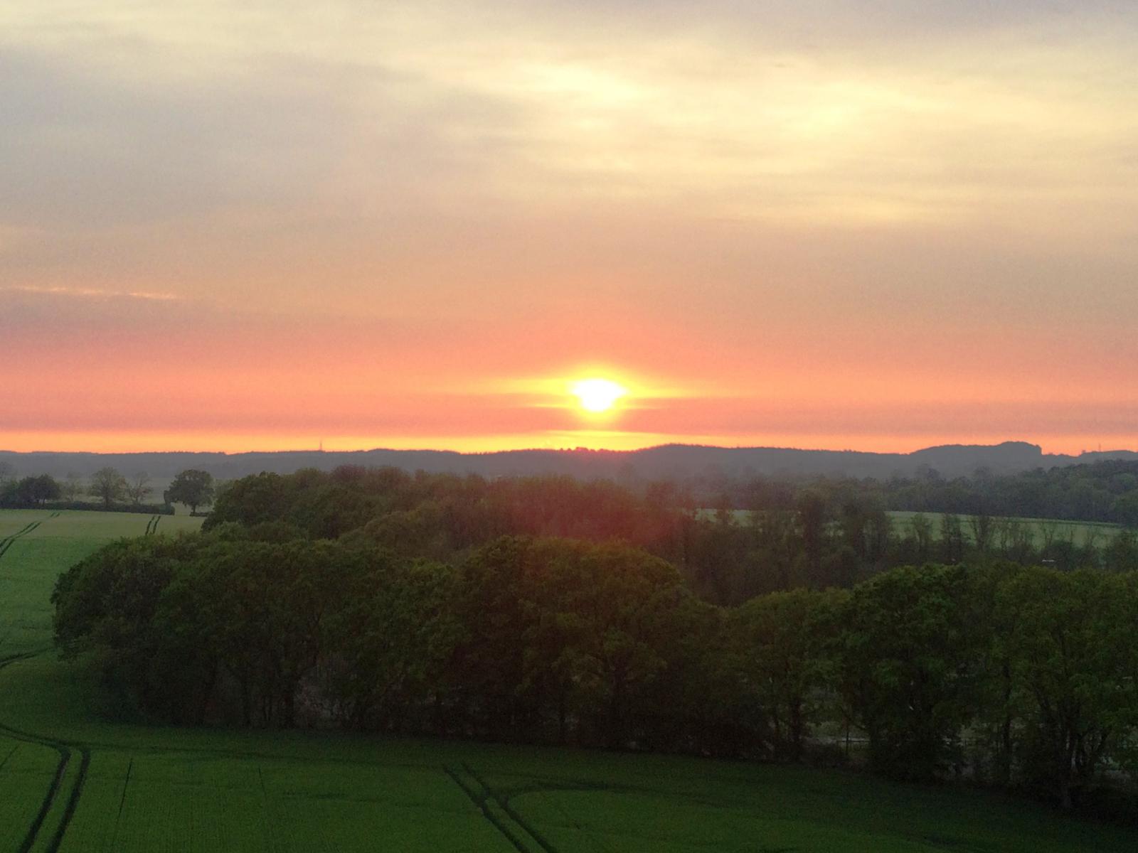 Sonnenuntergang über Feldern und Bäumen