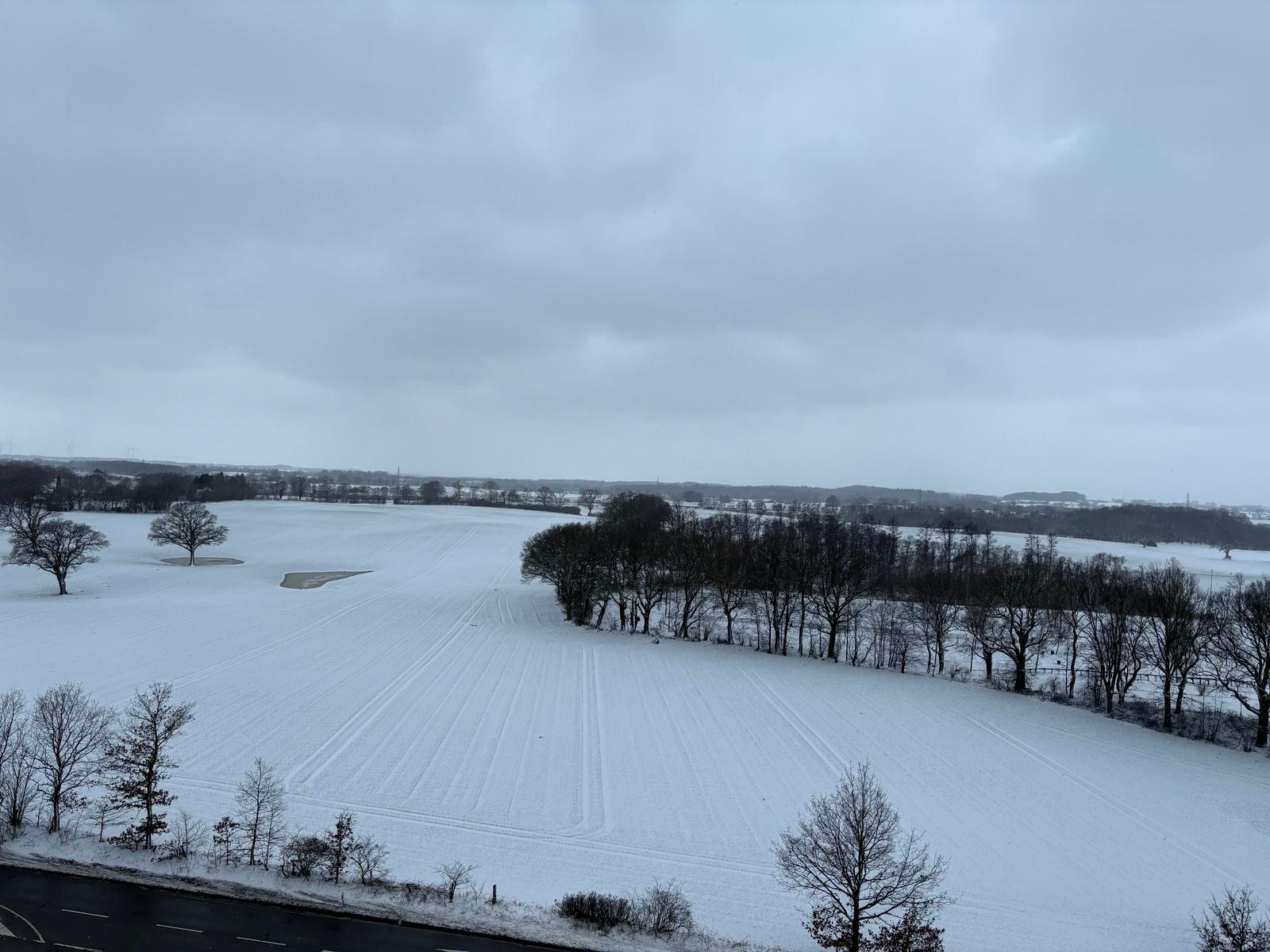 Schneebedecktes Feld mit Bäumen und einer Straße im Vordergrund.