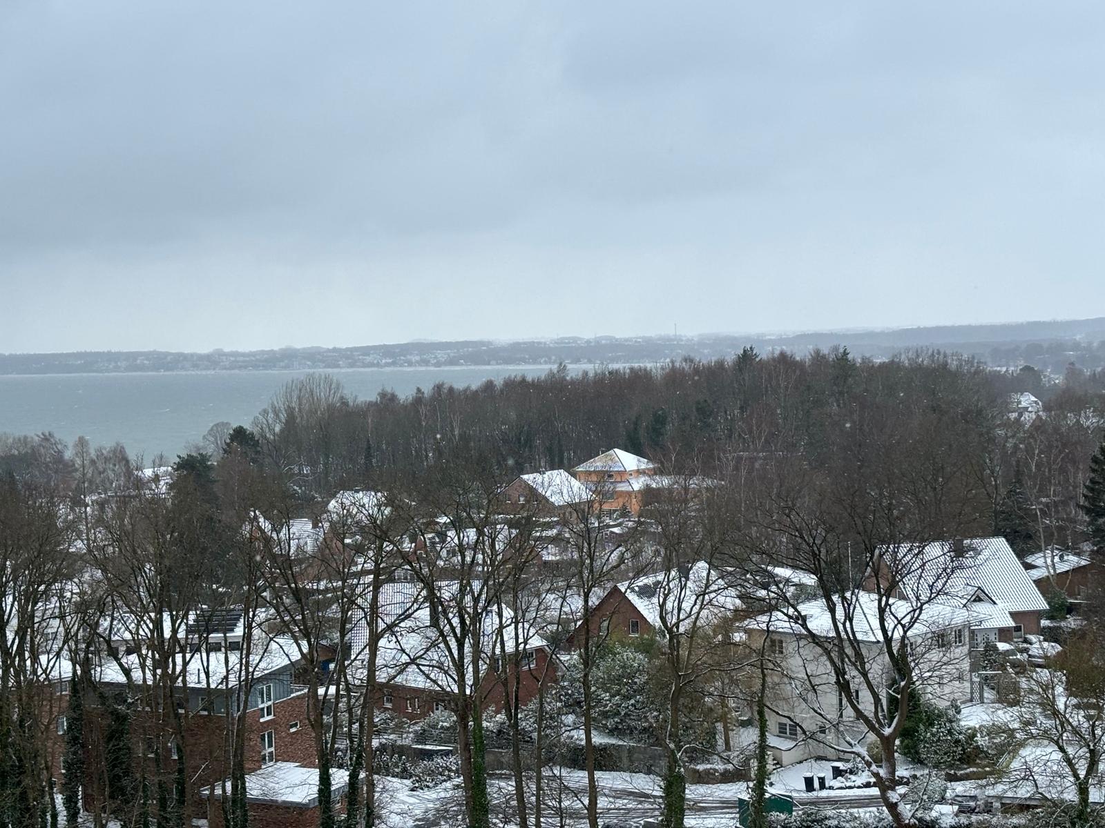 Schneebedeckte Dächer und Bäume mit Blick auf einen See.